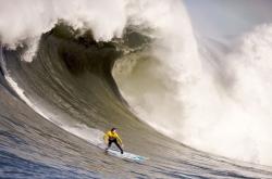 开云体育官网-文班亚马的统治时刻，当雄鹿对阵篮网变成独角戏