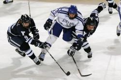 开云体育中国官网-欧冠半决赛焦点战，阿尔及利亚力量如何踏平拜仁神话？