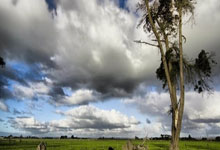 开云体育直播-包含马来西亚羽毛球队绝杀印尼羽毛球队，斯里坎特统治全场的词条