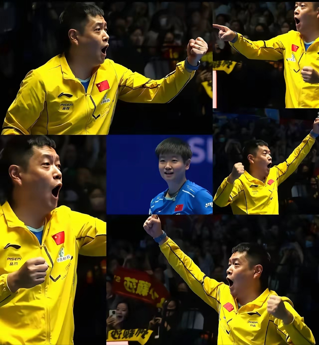 中国乒乓球队轻取法国乒乓球队，波尔完成帽子戏法的简单介绍