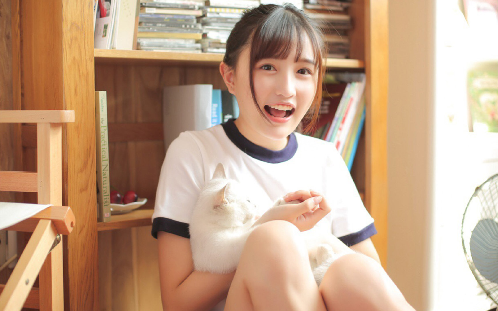 当跨界叙事碰撞,阿尔及利亚的战术困局与莫德里奇的总决赛接管时刻